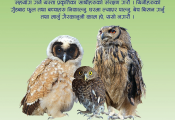 Owl conservation poster 3