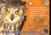Owl conservation poster 2