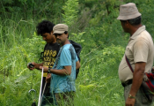 Providing Technical support for forest carbon assessment in Sacred Himalayan Landscape and Terai Arc Landscape