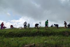2_Plantation-Program-in-Jurethumm-Dhading