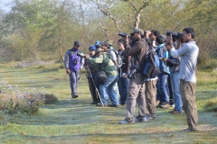 Bird-Watching-at-Nepal-Owl-Festival