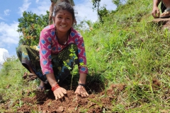Locals-Engaged-in-Plantation