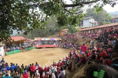 Nepal-Owl-Festival-Initiated-in-2012