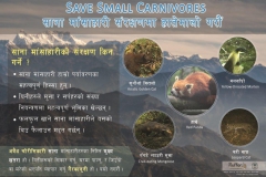 Save-Small-Carnivore