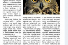 'Published 15 popular owl-related articles, covered by around 600 news outlets and 50 radio programs